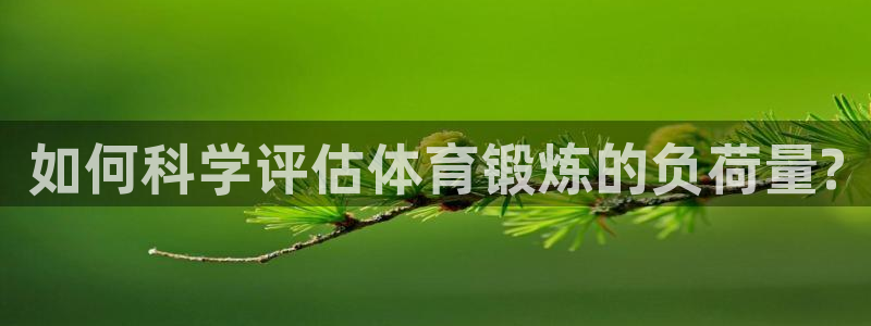乐视体育在线直播观看