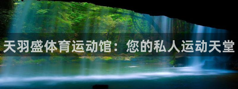 乐视体育股票