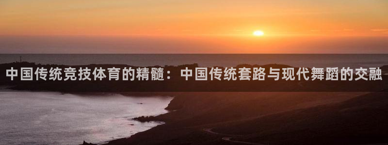乐视体育雷振剑
