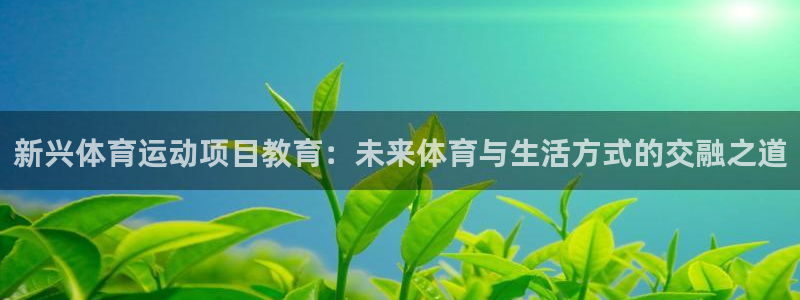 乐视体育直播