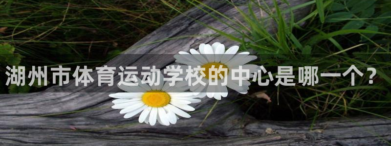 乐视体育CUBA：湖州市体育运动学校的中心是哪一个？