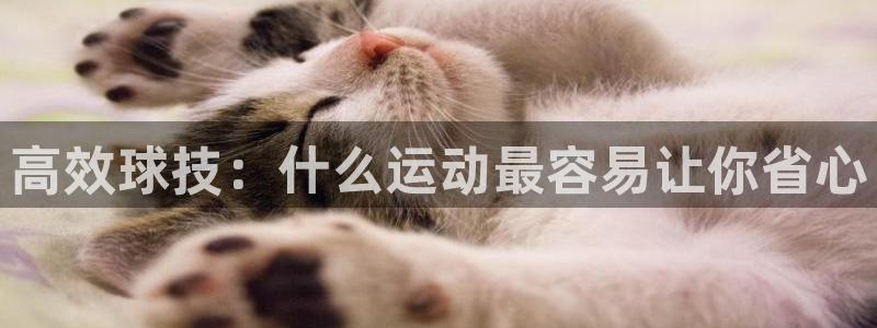 乐视体育免费直播迅雷下载：高效球技：什么运动最容易让你省心