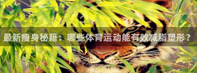 乐视体育探访中国体操队：最新瘦身秘籍：哪些体育运动能有效减脂塑形？