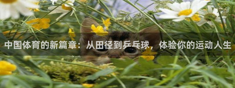 乐视体育刘建宏：中国体育的新篇章：从田径到乒乓球，体验你的运动人生