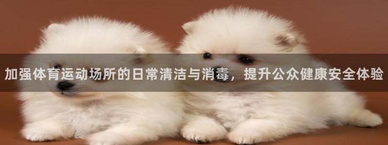 乐视体育融资