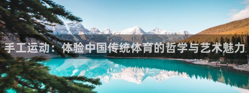 乐视体育模式的亮点