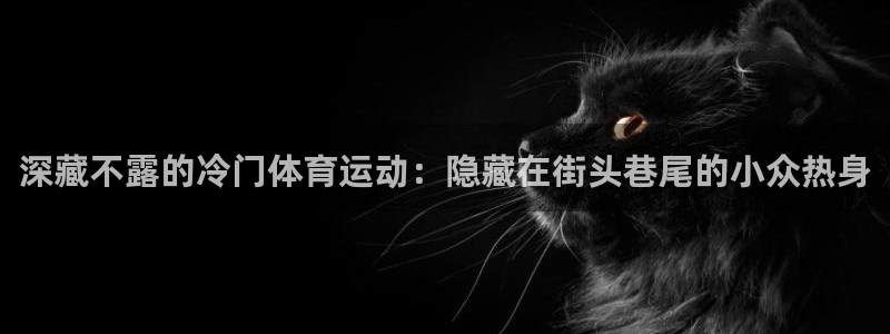 乐视体育结局：深藏不露的冷门体育运动：隐藏在街头巷尾的小众热身