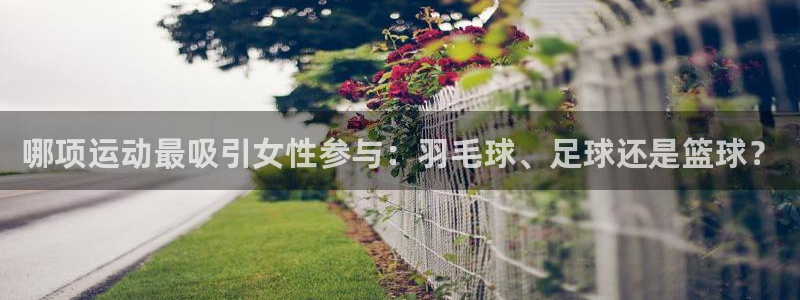乐视体育经纪卢山：哪项运动最吸引女性参与：羽毛球、足球还是篮球？